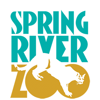 Spring River Zoo logo with Mountain Lion
