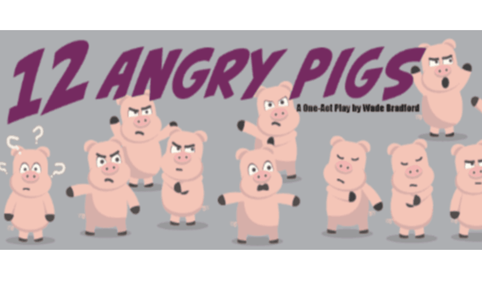 12 Angry Pigs Image for Play