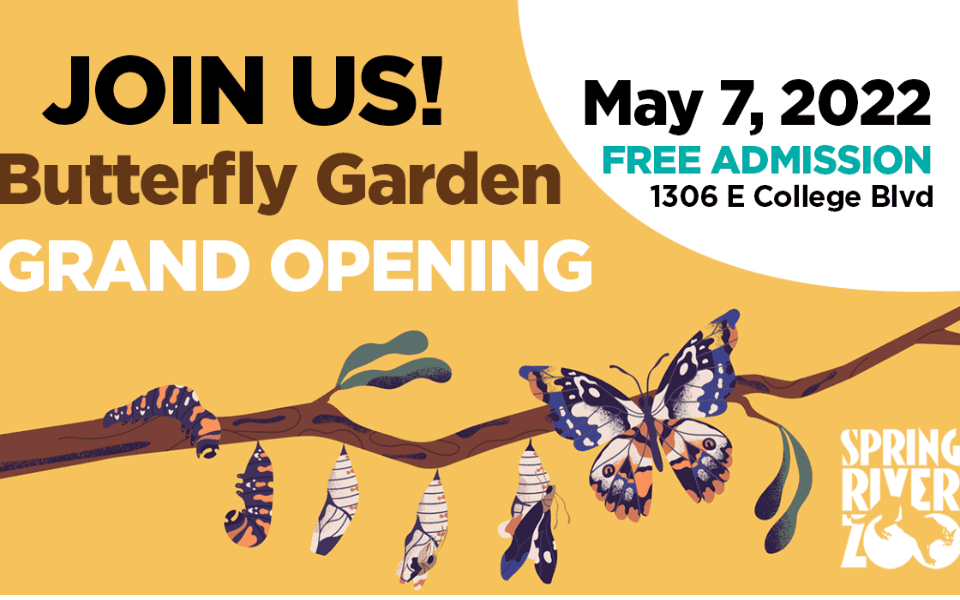 Event Image Butterfly Garden Grand Opening