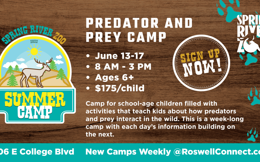 Spring River Zoo Predator & Prey Camp