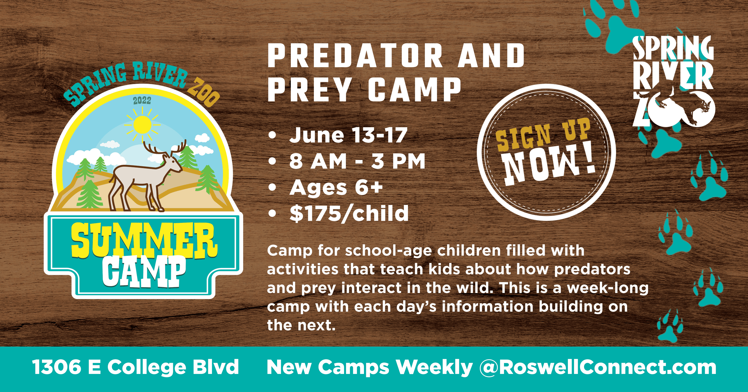 predator and prey kids camp