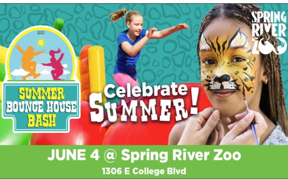 Girl getting a face painting, listed with summer spring river zoo event information