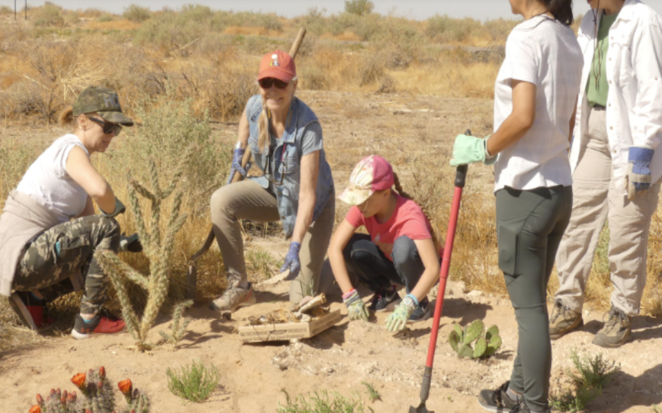 People holding shovels on a dirt/patchy grass ground with cacti. Standing in a circle